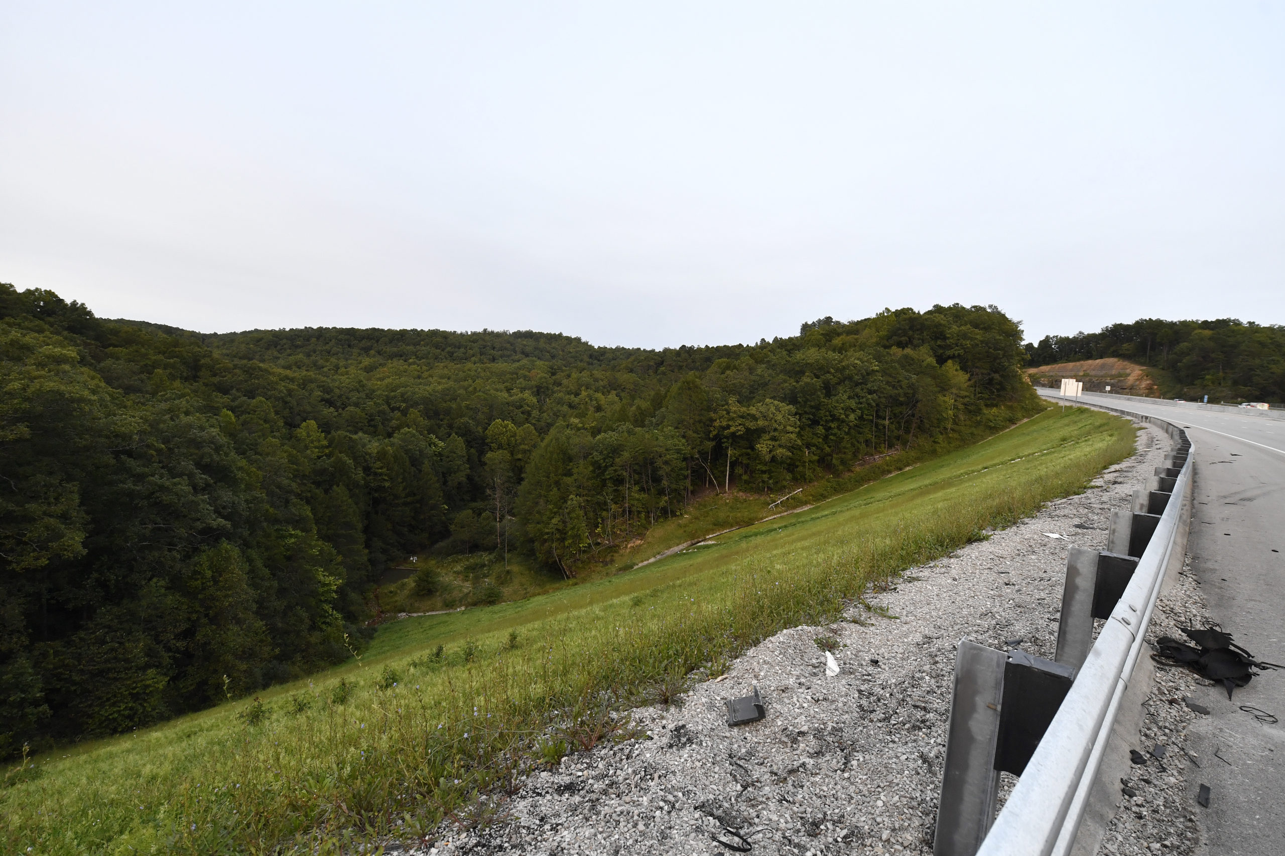 Trees stand in wooded areas alongside Interstate 75 near Livingston, Kentucky, Sunday, September 8, 2024, as police search for a suspect in a shooting Saturday along the Interstate.