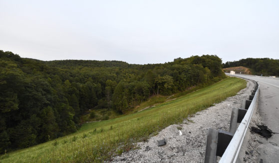 Trees stand in wooded areas alongside Interstate 75 near Livingston, Kentucky., Sunday, as police search for a suspect in multiple shootings along the Interstate.