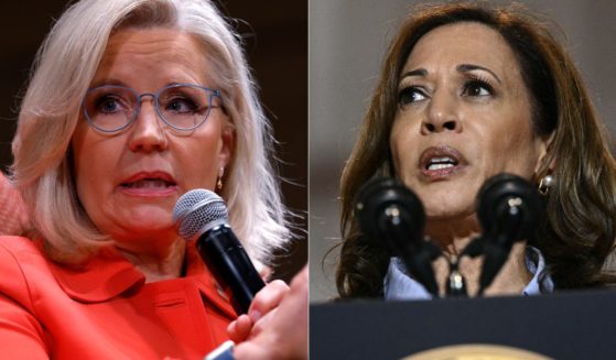 Former Rep. Liz Cheney, left, endorsed Vice President Kamala Harris, right, on Wednesday, but many people are pointing out Cheney's posts from the 2020 election against Harris.