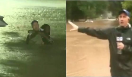 Fox Weather meteorologist Bob Van Dillen broke off his live broadcast to rescue a woman from a submerged car.