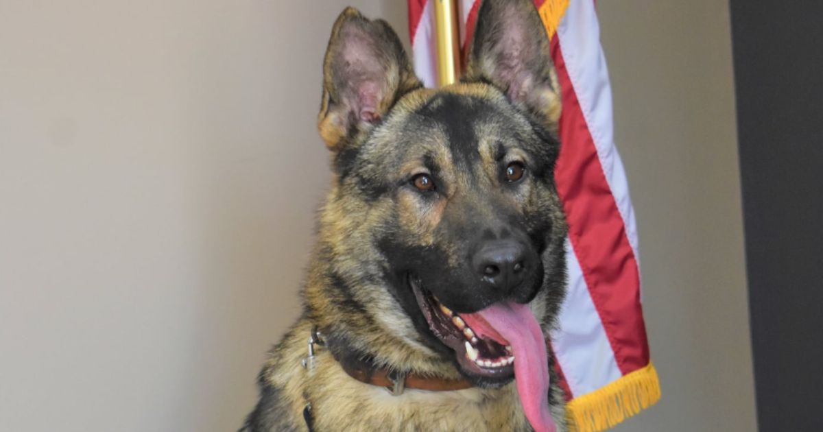 Missouri Police Officer Charged in the Death of His K-9 Partner