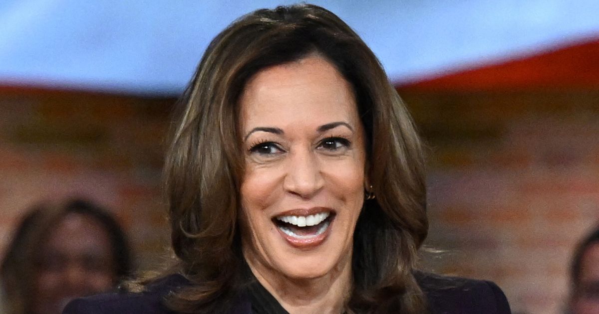 Kamala Harris Agrees to Rare Mainstream Media Interview With Host Who Made Telling Comments Just Last Week