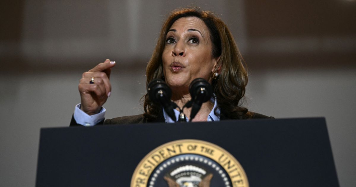 Vice President Kamala Harris speaks during a campaign rally at the International Brotherhood of Electrical Workers in Pittsburgh, Pennsylvania, on Sept. 2.