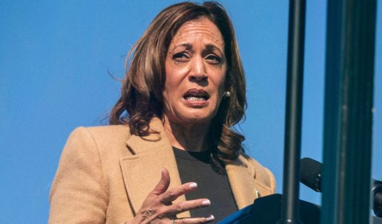 Vice President Kamala Harris speaks during a campaign stop in North Hampton, New Hampshire, on Wednesday.