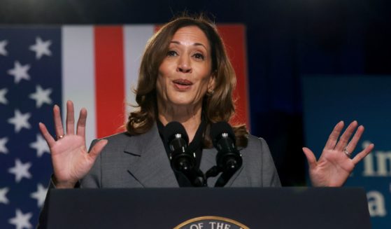 Vice President Kamala Harris speaks during an event at the Cobb Energy Performing Arts Centre in Atlanta, Georgia, on Friday.