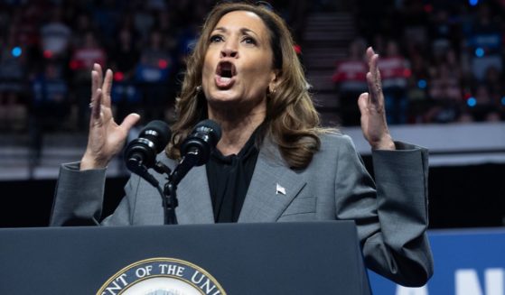 Vice President Kamala Harris speaks at a campaign rally in Madison, Wisconsin, on Friday.