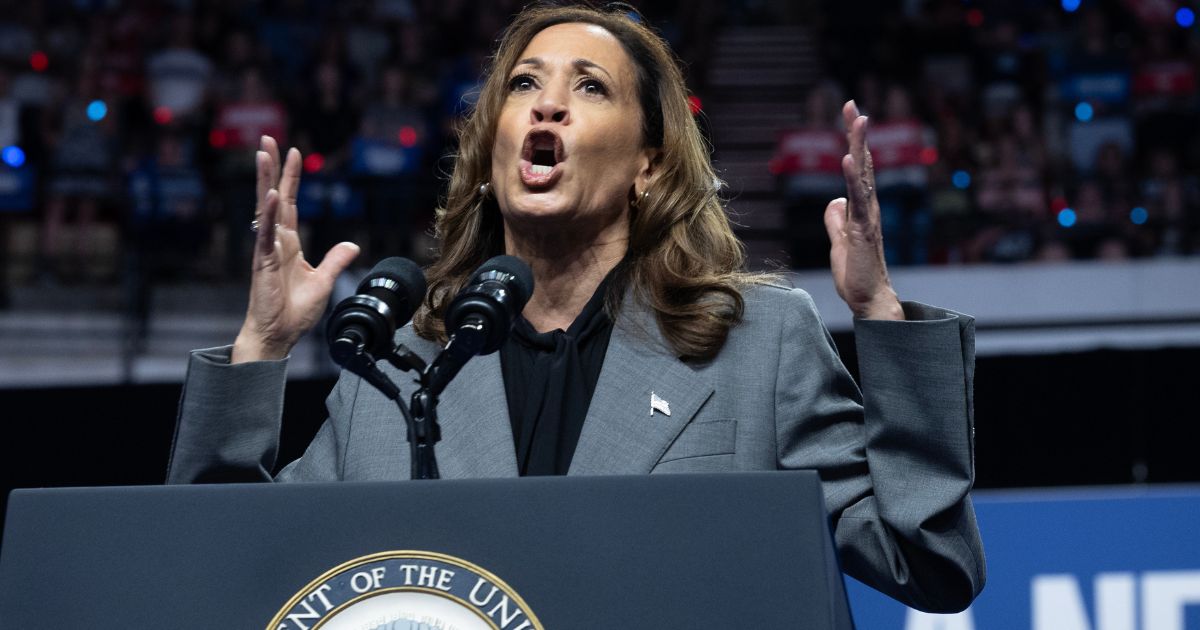 Vice President Kamala Harris speaks at a campaign rally in Madison, Wisconsin, on Friday.