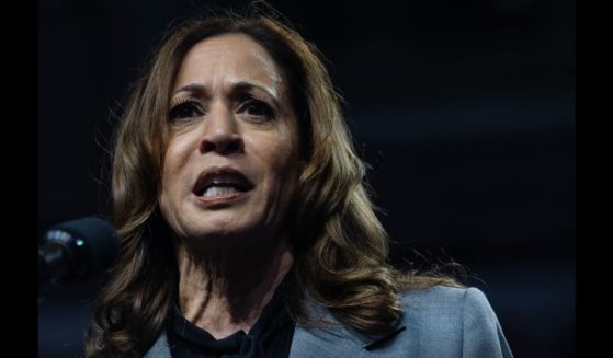 Democratic presidential nominee Vice President Kamala Harris speaks at a campaign rally at the Alliant Energy Center on September 20, 2024 in Madison, Wisconsin.