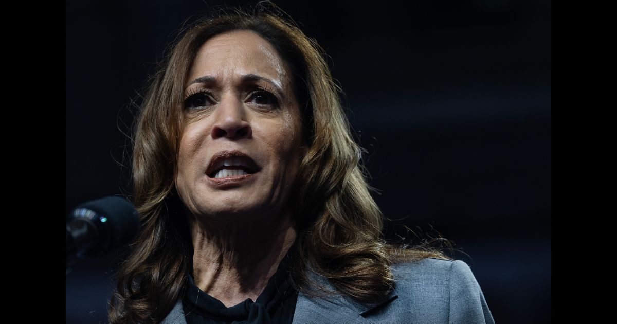 Democratic presidential nominee Vice President Kamala Harris speaks at a campaign rally at the Alliant Energy Center on September 20, 2024 in Madison, Wisconsin.