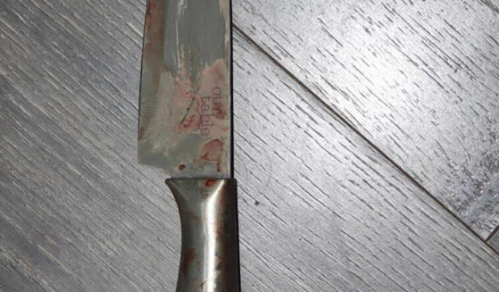 This undated photo provided by the Polk Sheriff's Office shows the knife that was used where sheriff’s officials say a teenager fatally stabbed his mother in the neck, Sunday in Auburndale, Florida.