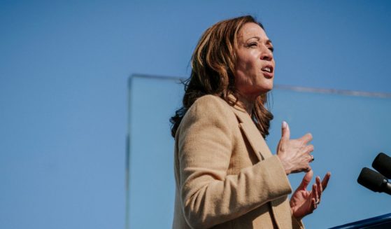 Democratic presidential nominee, U.S. Vice President Kamala Harris, made a campaign stop at the Throwback Brewery on September 4, 2024 in North Hampton, New Hampshire.