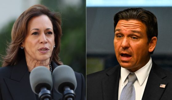 On Monday, Republican Gov. Ron DeSantis of Florida, right, called Vice President Kamala Harris, left, "delusional" after she accused the governor of selfishness and "political gamesmanship" ahead of Hurricane Milton's potentially catastrophic expected landfall in western Florida.