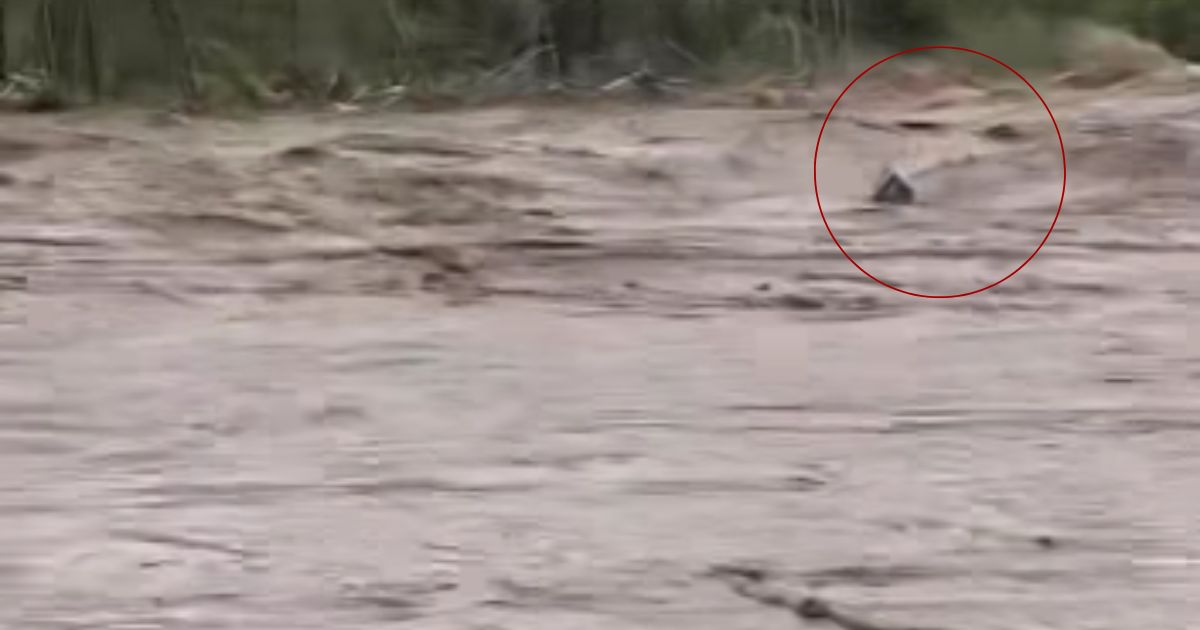 Meteorologist Kaitlin Wright posted a video of a casket, circled, carried away by floodwaters in Unicoi County, Tennessee.