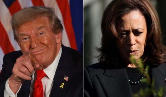 Former President Donald Trump has made strong gains in "Blue Wall" state polling, where Democrat Vice President Kamala Harris needs to win to clinch the November presidential election.