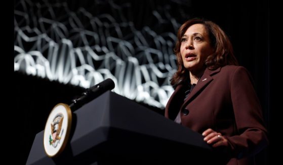 Vice President Kamala Harris speaking at the African and Diaspora Young Leaders Forum in Washington , D.C., in 2022.