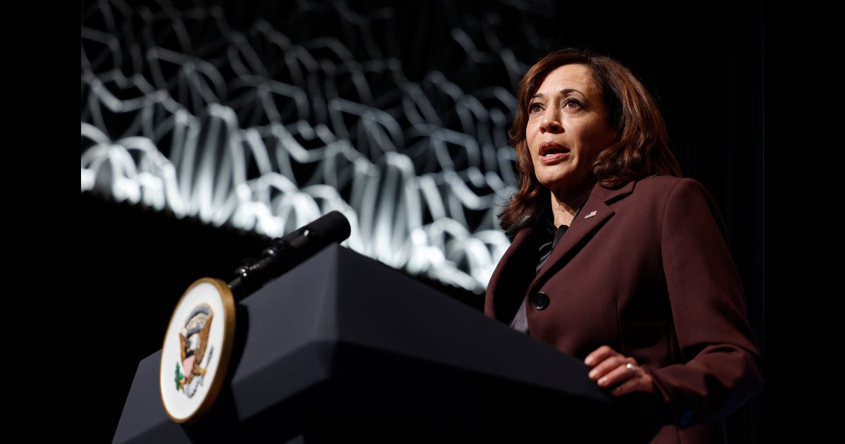 Vice President Kamala Harris speaking at the African and Diaspora Young Leaders Forum in Washington , D.C., in 2022.