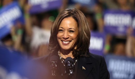 Vice President Kamala Harris campaigning in Erie, Pennsylvania, in October 2024.