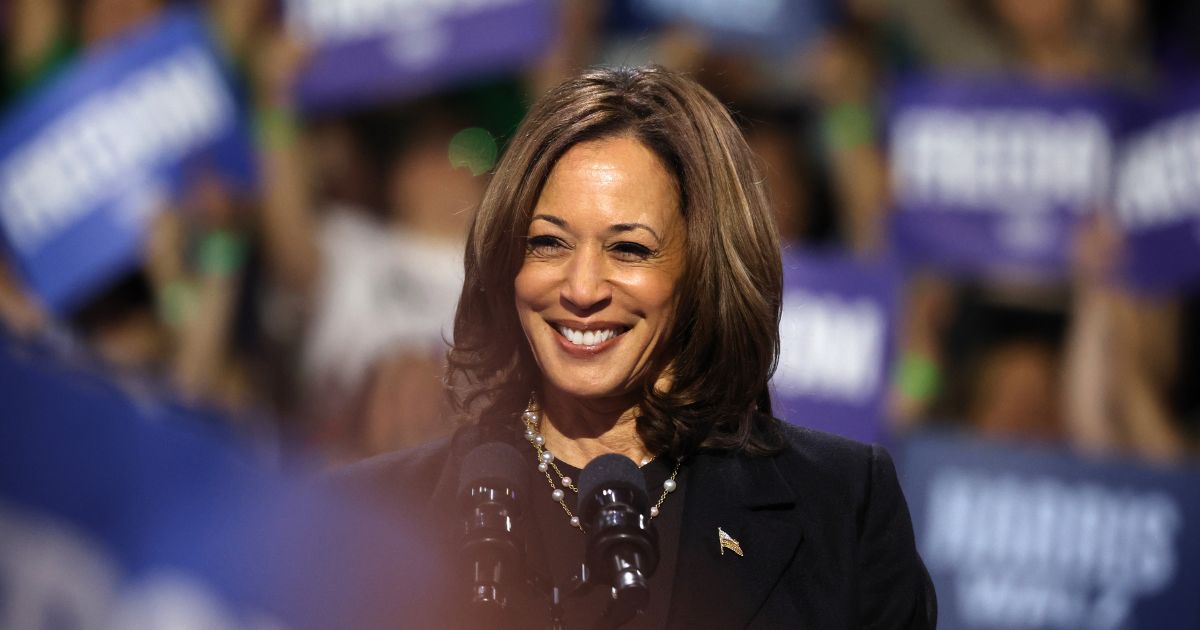 Vice President Kamala Harris campaigning in Erie, Pennsylvania, in October 2024.