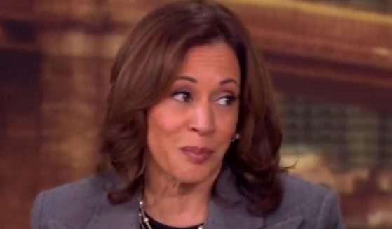 Vice President Kamala Harris appeared on Tuesday's episode of "The View" and claimed she would not have done anything differently from President Joe Biden.