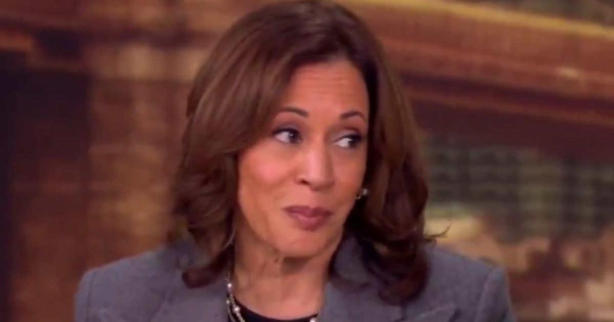 Vice President Kamala Harris appeared on Tuesday's episode of "The View" and claimed she would not have done anything differently from President Joe Biden.