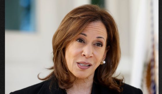 Vice President Kamala Harris delivers remarks Wednesday in Washington, D.C., attempting to tie former President Donald Trump to German dictator Adolf Hitler.