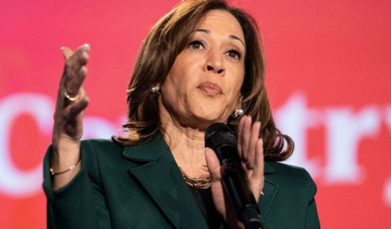 Vice President Kamala Harris speaks at a town hall in Royal Oak, Michigan, on Monday.