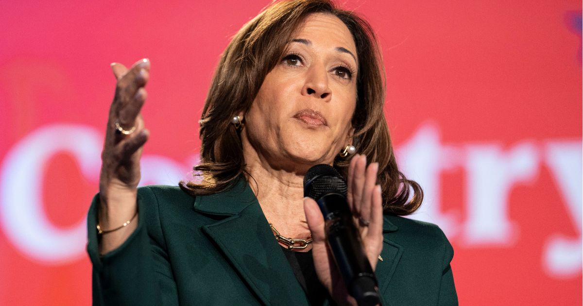 Vice President Kamala Harris speaks at a town hall in Royal Oak, Michigan, on Monday.