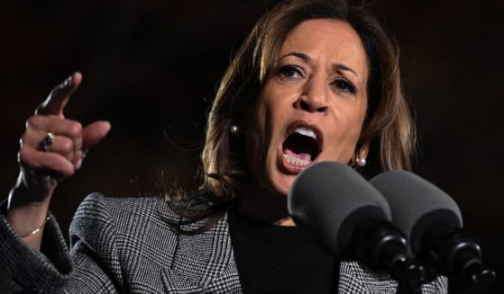 Vice President Kamala Harris speaks during a campaign rally in Ann Arbor, Michigan, on Monday.