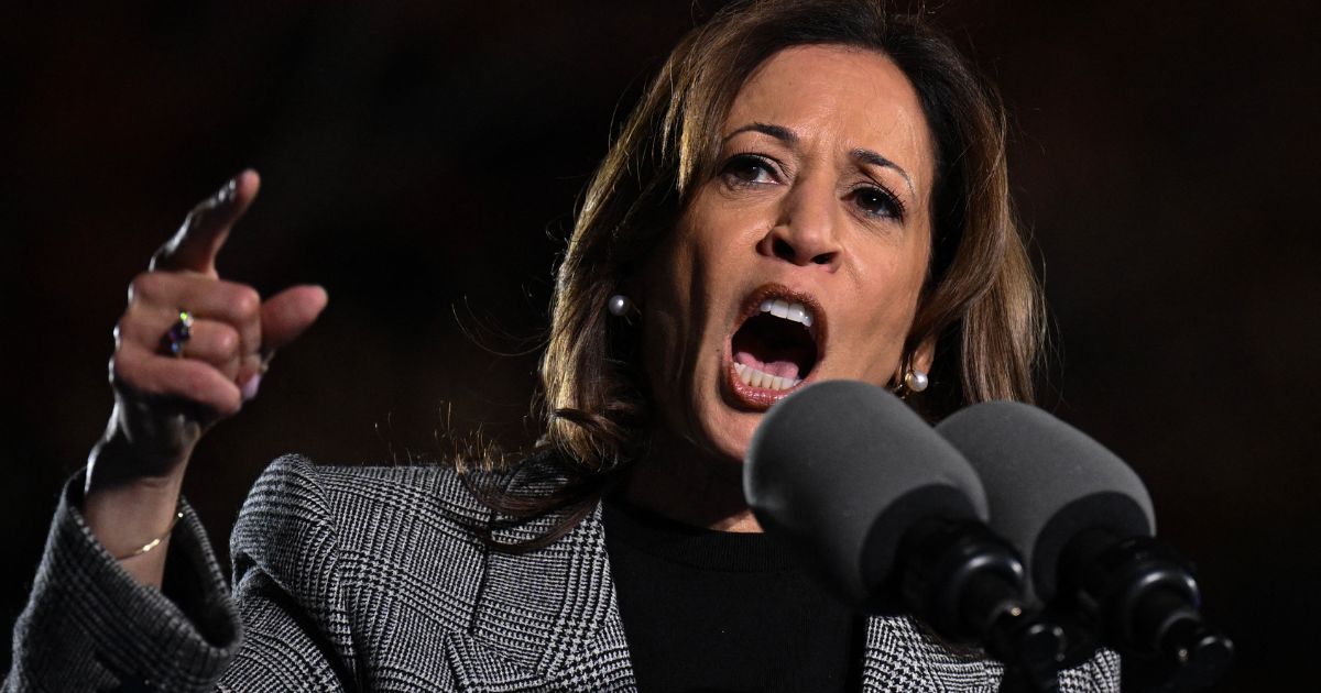 Vice President Kamala Harris speaks during a campaign rally in Ann Arbor, Michigan, on Monday.