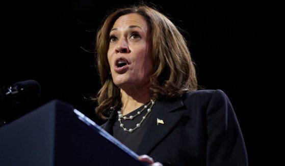 Vice President Kamala Harris speaks at a campaign event at the Erie Insurance Arena in Erie, Pennsylvania, on Monday.