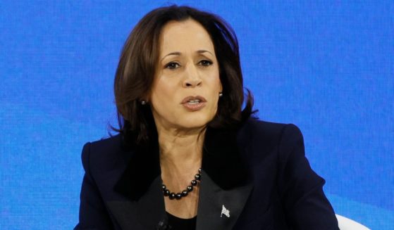 Presidential campaign staffers for Vice President Kamala Harris, seen at a November 2023 appearance, are trying to downplay allegations that Harris's 2009 book contains dozens of instances of plagiarism.