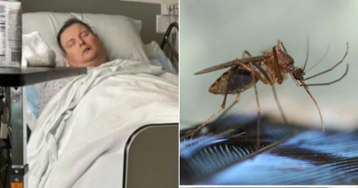 Mosquito Bite Puts Dad Through Hell After Giving Him Nasty Disease, And Cases Are Rising