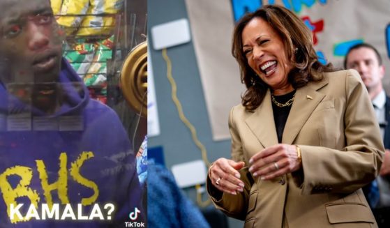 Composite image of Kamala Harris and a gas station patron.