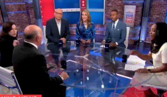 Kevin O'Leary is dogpiled by a CNN panel after critiquing Vice President Kamala Harris and the Democrats.