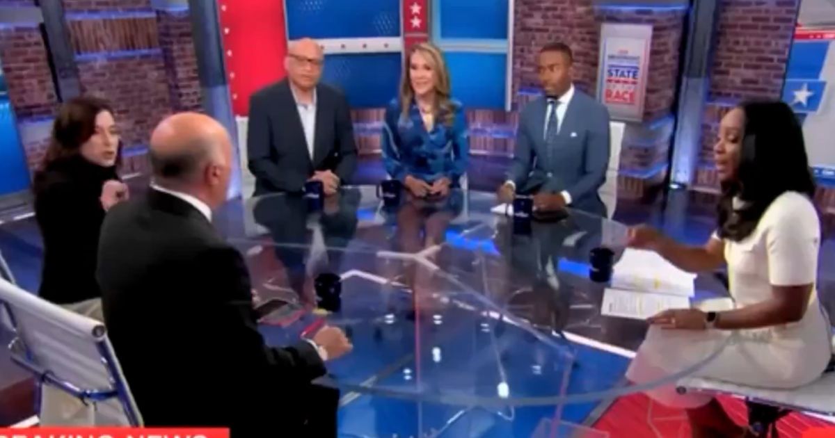 Kevin O'Leary is dogpiled by a CNN panel after critiquing Vice President Kamala Harris and the Democrats.