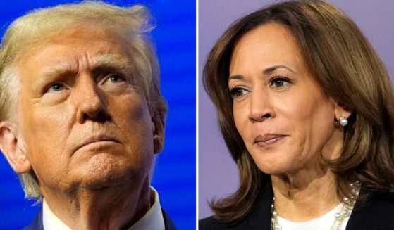 Polling coming in just two weeks before the Nov. 5 election is showing that former President Donald Trump, left, is performing better than Vice President Kamala Harris, right.