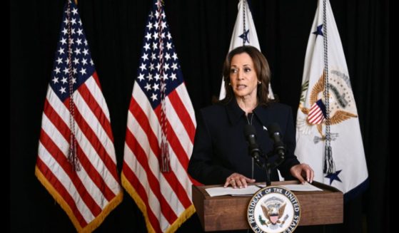 Vice President Kamala Harris speaking at the Josephine Butler Parks Center in Washington.