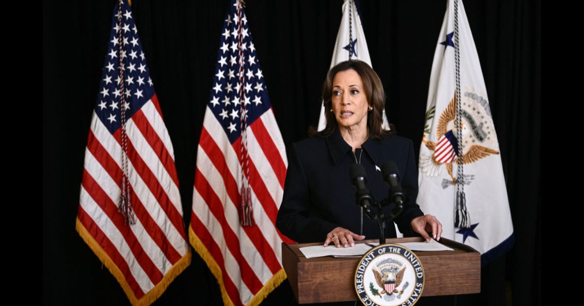 Vice President Kamala Harris speaking at the Josephine Butler Parks Center in Washington.