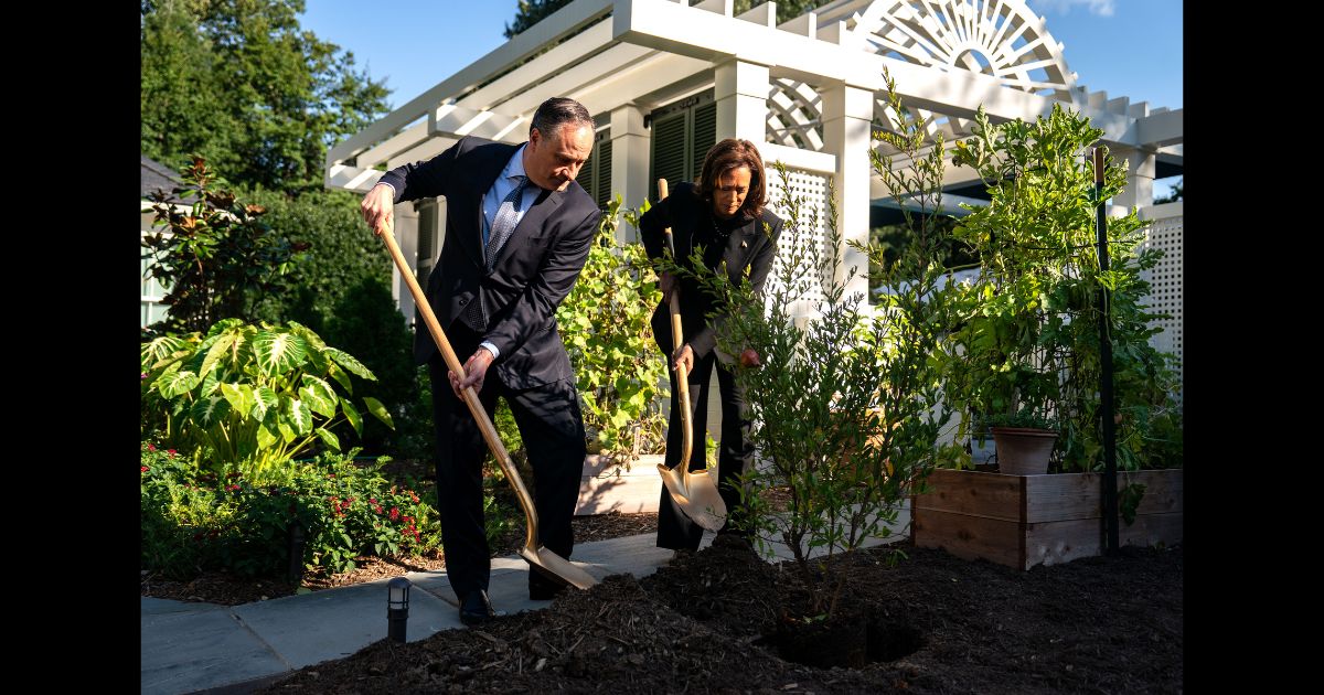 Second Gentleman Doug Emhoff and Vice President Kamala Harris plant a pomegranate tree at the Vice President's residence at the U.S. Naval Observatory on October 7, 2024 in Washington, DC.