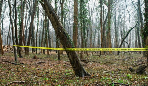 This Getty stock image shows a crime scene with yellow police tape in the woods.