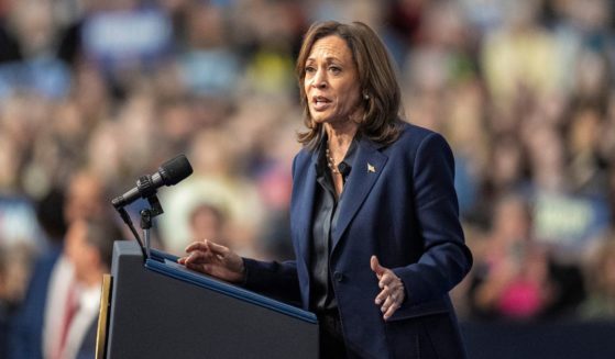 Democratic presidential nominee Vice President Kamala Harris speaks at a campaign rally on October 17, 2024 in La Crosse, Wisconsin.