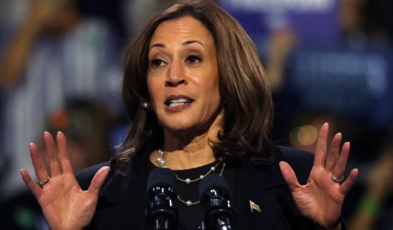 Vice President Kamala Harris campaigns for the presidency Sunday during a rally at the Erie Insurance Arena in Erie, Pennsylvania.