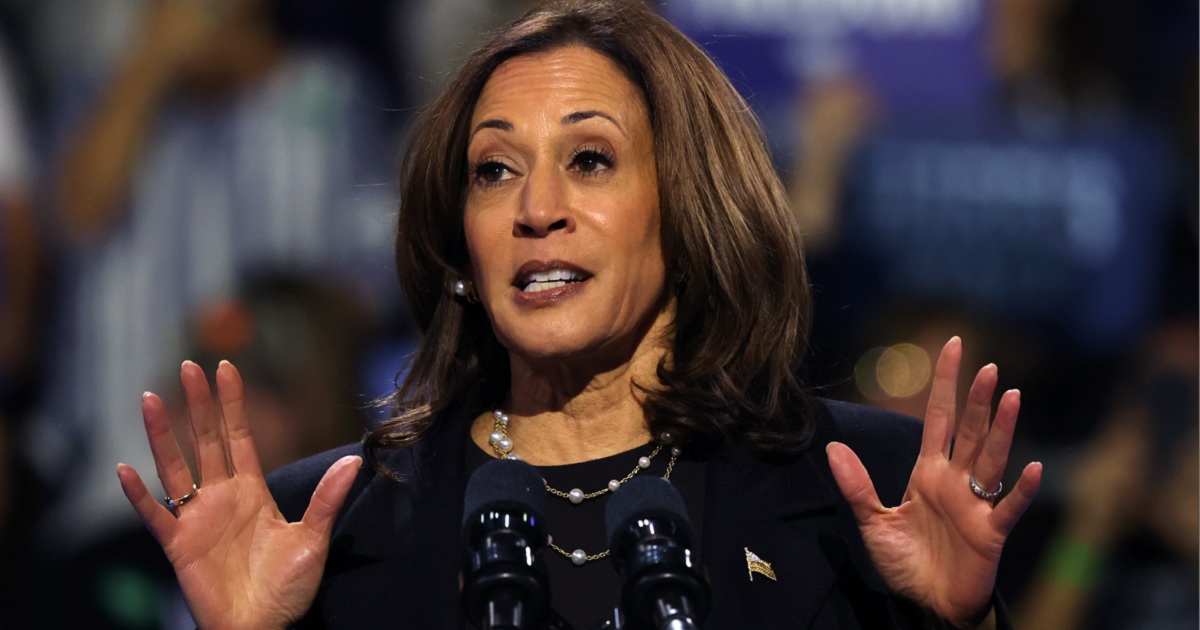 Top Dems in Battleground PA Are Not Happy with the Harris Campaign: ‘Everybody’s Very Nervous’