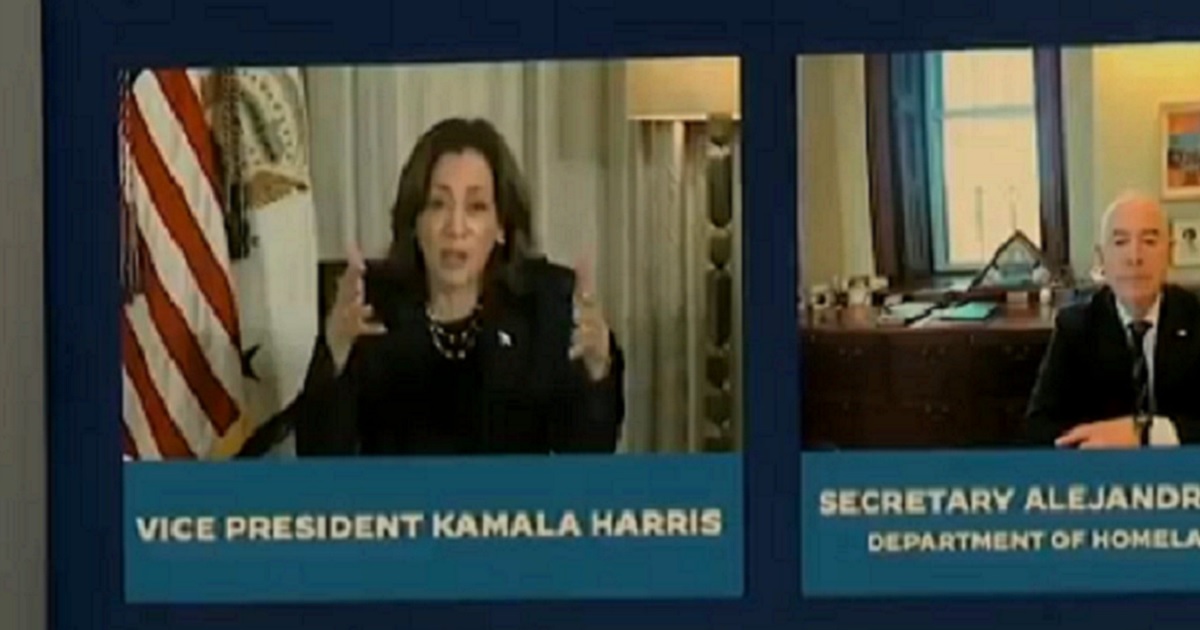 Kamala Harris Called Out After Viral Staff Interaction During Hurricane Milton Broadcast – ‘Busted’?