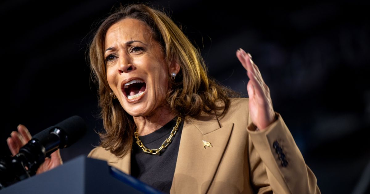 Vice President Kamala Harris speaking at a campaign rally in Chandler, Arizona, on Oct. 10, 2024.