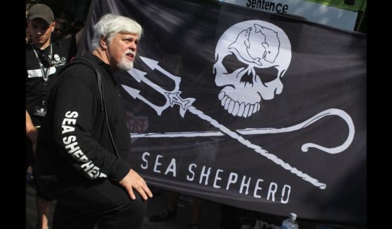 Paul Watson, head of the Sea Sheperd Conservation Society, prepares to speak to supporters on May 23, 2012 in Berlin, Germany.