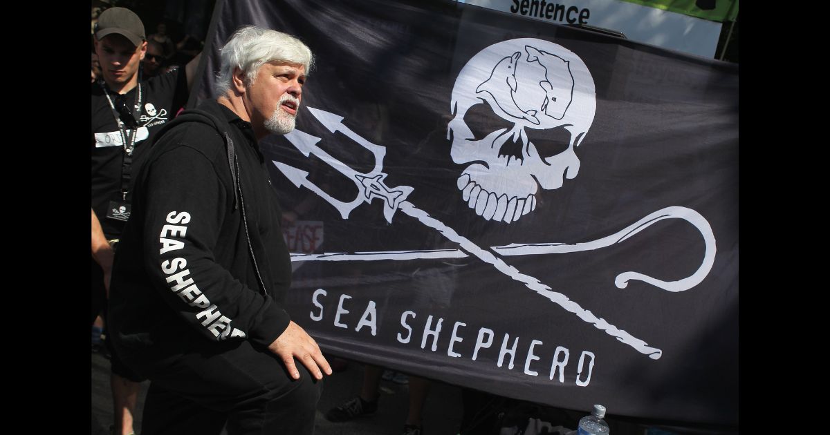 Paul Watson, head of the Sea Sheperd Conservation Society, prepares to speak to supporters on May 23, 2012 in Berlin, Germany.