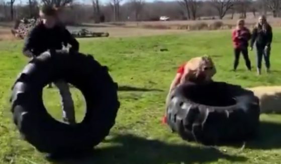 "Honestly farmer strength ain't no joke," one viewer posted on social media in response to a video purporting to show female bodybuilders competing against teenage farm boys. "This wasn't even a fair competition."