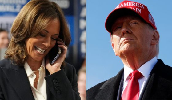 Twelve hours after the election was called for former President Donald Trump, right, Vice President Kamala Harris, left, called Trump to concede.