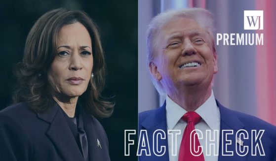 On Nov. 5, former President Donald Trump, right, defeated Vice President Kamala Harris, left, by securing the Electoral College and the popular vote.